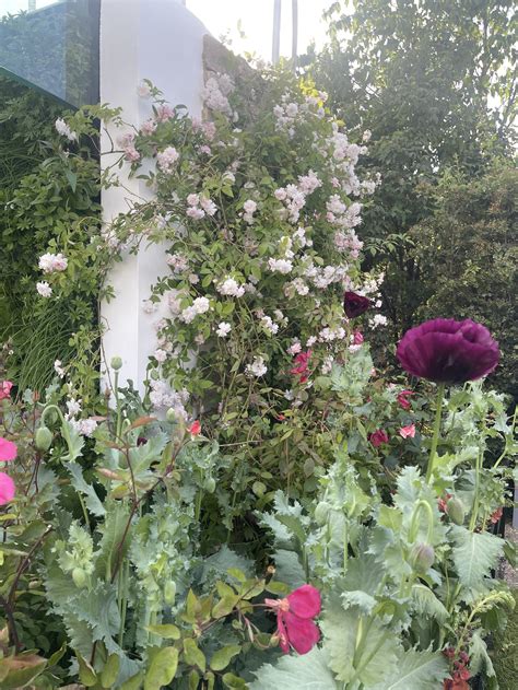 Completely Transform Your Garden In These Amazing Ways — MELANIE