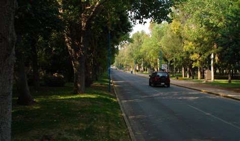 Parque Tangamanga III estaría en Soledad Periódico Region Centro