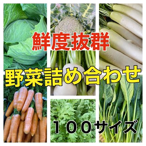 新鮮採りたて‼️野菜詰め合わせセット‼️たっぷり100サイズ‼️7種類‼️ メルカリ