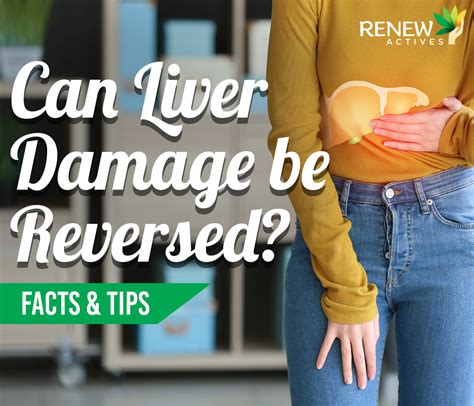 Can Liver Damage Be Reversed Renew Actives Us