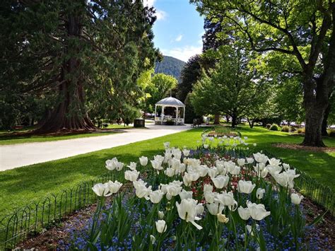 Botanical Gardens Queenstown New Zealand | Fasci Garden