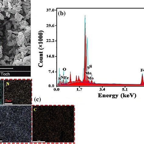 A Scanning Electron Microscope Of MoS2 MIL88NH2 Composite B