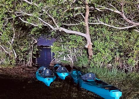 Cocoa Beachmerritt Islandbioluminescent Kayak Tour Travel Buddies