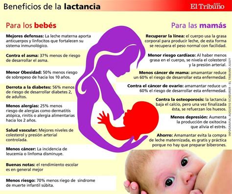 ¿en Qué Contextos La Lactancia Materna Tiene Beneficios Para El Bebé