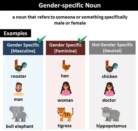 Gender Specific Noun Explanation And Examples