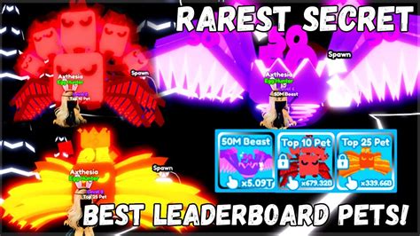 I Got The Best Leaderboard Pets And Rarest M Secrets In Rebirth