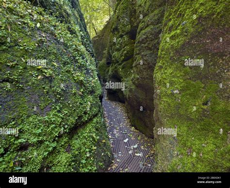 Dragon Gorge Near Eisenach Thuringia Germany Stock Photo Alamy