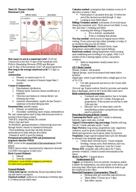 Menstrual Cycle - Review of hormones involved with menstruation - Week