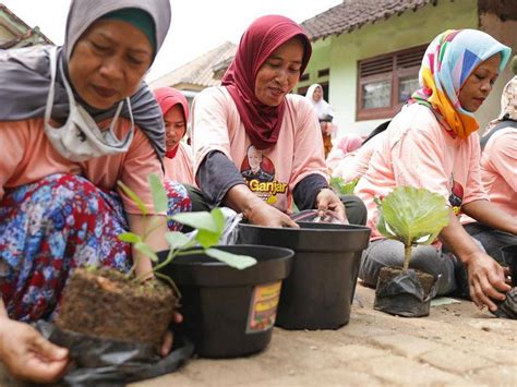 Budi Daya Tanaman Sayur Cara Mak Ganjar Jaga Ketersediaan Pangan