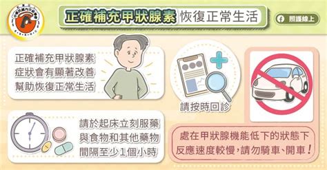 精神不濟、說話變慢、食慾不振，甲狀腺機能低下的警訊與治療，內分泌專科醫師圖文解說 照護線上 深受信賴的醫療媒體