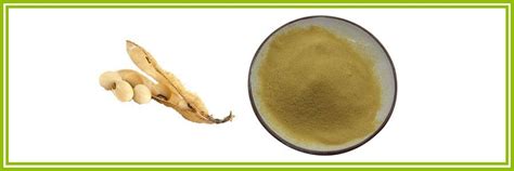 Daidzein Soybean Extract Daidzein Powder Soy Isoflavone Factory