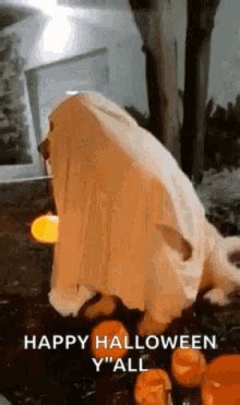 Happy Halloween GIFs | Tenor