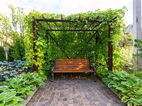 How To Create A Private Outdoor Oasis In Your Garden Vancouver Sun