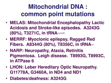 Ppt Genetics Of Mitochondrial Respiratory Chain Disorders Powerpoint Presentation Id4890326