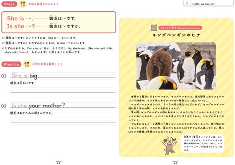 楽天ブックス 小学生のための英語練習帳5 文章の読解 旺文社 9784010112434 本