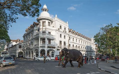 Kandy City - Tour Guide In Sri Lanka