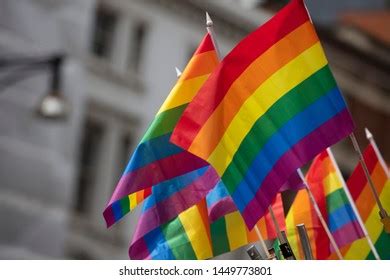 Female Spectator Holding Gay Rainbow Flag Stock Photo Edit Now