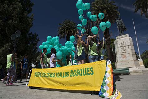 Fundaci N Greenpeace Argentina Nunca Es Tarde Para Sumarte