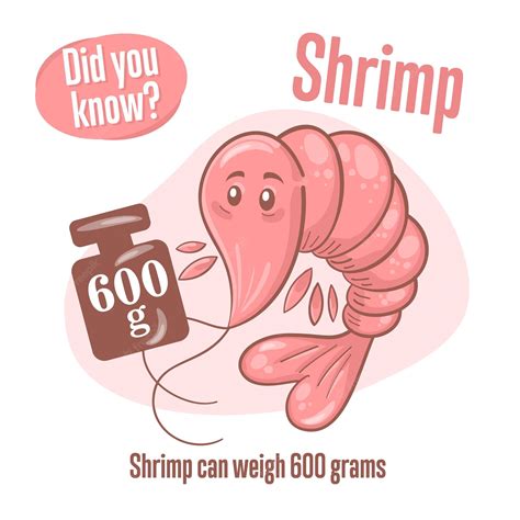 Premium Vector | Prawn Interesting facts about shrimp Did you know