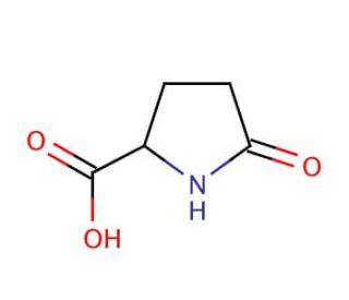 Pyrrolidone Carboxylic Acid Cas Scbt Santa Cruz