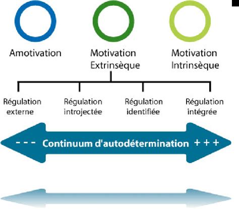 Schématisation de la théorie de l autodétermination de Deci et Ryan