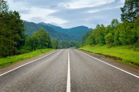 driving   country road forest stock photo  image