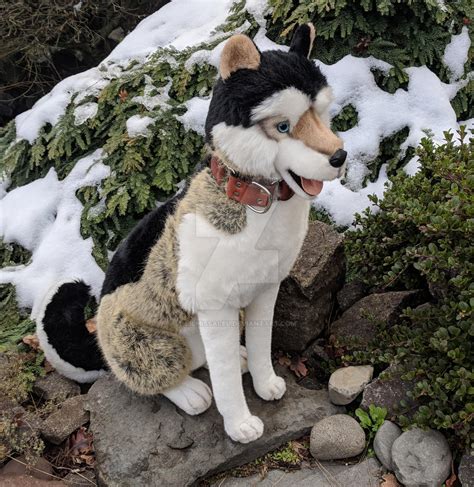 Ramat Life Size Seated Husky Plush By Lilmissaleu On Deviantart