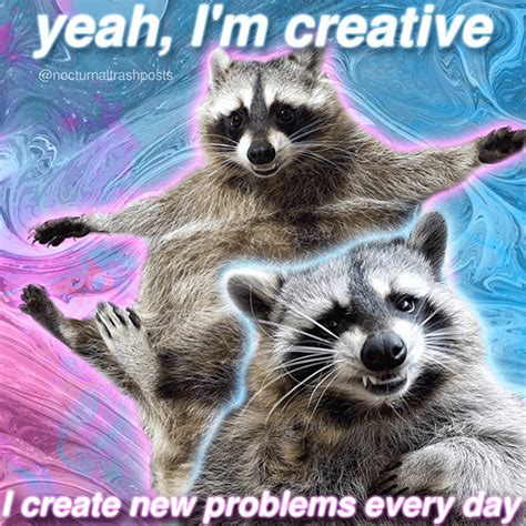 Raccoon Meme Excellent