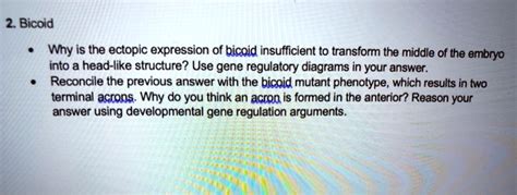 SOLVED:2. Bicoid Why is the ectopic expression of bicoid insufficient ...