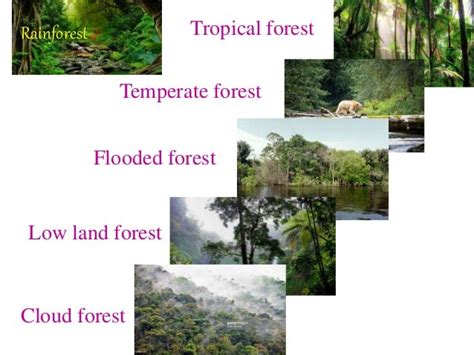 TYPES OF ECOSYSTEM