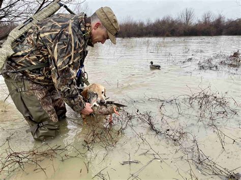 New eco tourism rules will apply to the duck hunters refuge 14