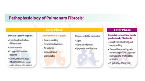 Progressive Pulmonary Fibrosis Understanding Its Many Forms Chest