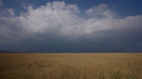 CG Animation Of Thunderstorm Free Stock Video Footage, Royalty-Free 4K ...