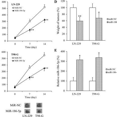 Mir 186 5p Inhibits Growth Of Gbm Xenografts Tumors In Vivo Ln 229 A