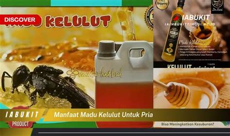 Ketahui Manfaat Madu Kelulut Untuk Pria Yang Jarang Diketahui Dan Bikin