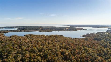 Lake Apopka, Florida - WorldAtlas