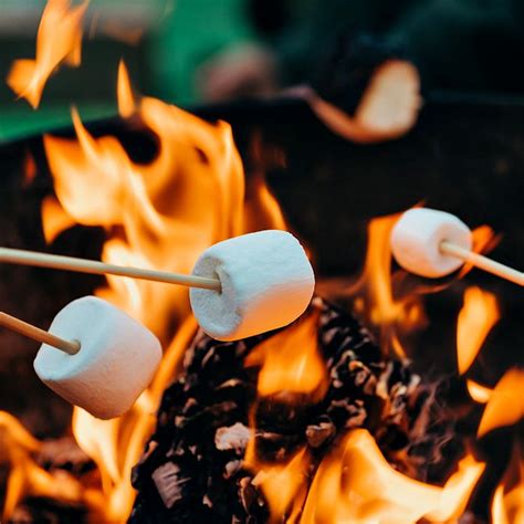 Fireside Marshmallows Premium Fragrance Oil