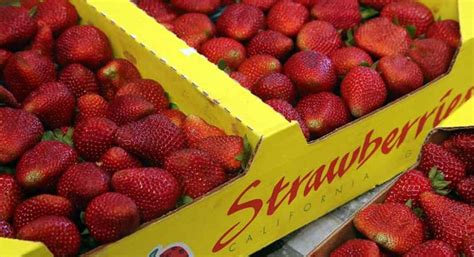 Watsonville Strawberry Festival Returns This Weekend Good Times