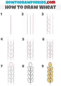 How to Draw Wheat - Easy Drawing Tutorial For Kids