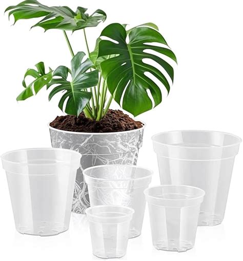 Amazon Vesici Large Size Clear Nursery Pots Variety Pack Plant