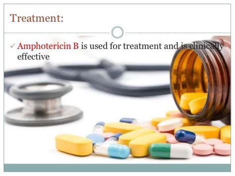 Naegleria Fowleri Treatment