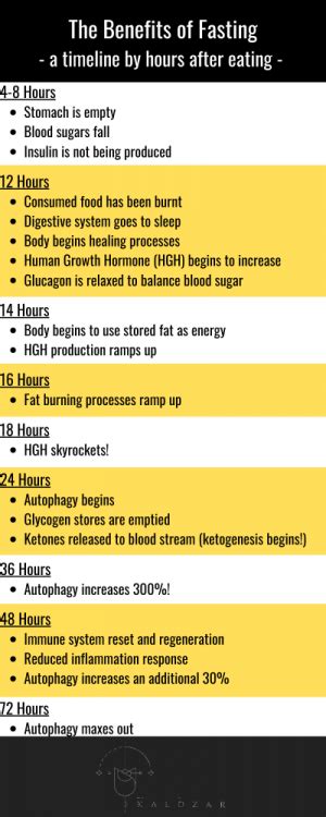 Benefits of Fasting for 24 Hours or Longer - Kaldzar