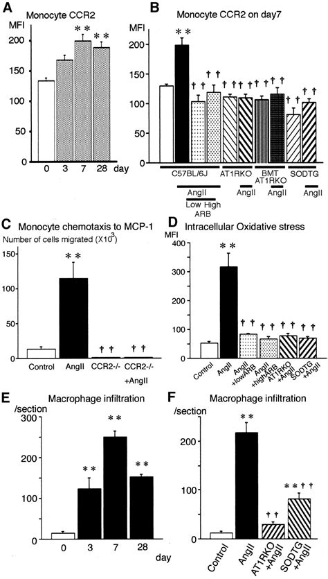 Critical Role Of Monocyte Chemoattractant Protein 1 Receptor Ccr2 On