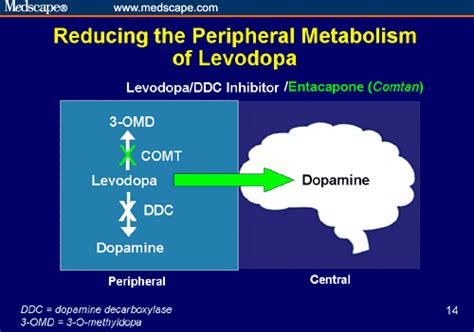 Management Of Levodopa Therapy In Parkinson S Disease