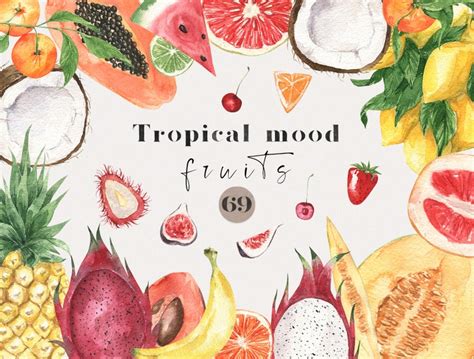 Watercolor Tropical Fruit Clipart Citrus Papaya Melon Etsy