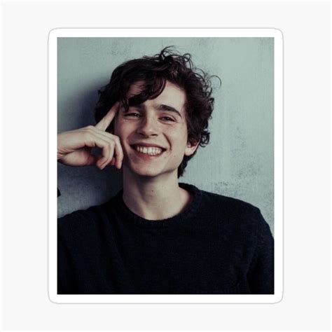 Timothee Chalamet Sticker For Sale By Hala Timothee Chalamet