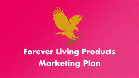 Forever Living Marketing Plan Review Opportunity Or Scam