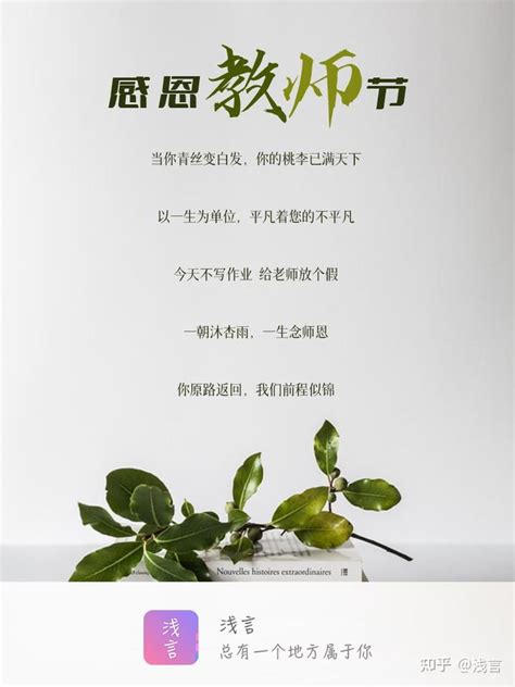 师恩难忘丨25句教师节文案你收藏了吗？ 知乎