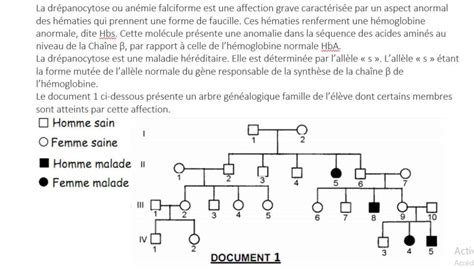 Exercice Svt Re A Et B L H R Dit Humaine Cas D All Les