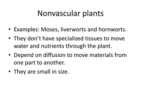 PPT - Introduction to plants PowerPoint Presentation, free download ...